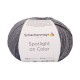 Spotlight on Color - Schachenmayr 00087 - grey color